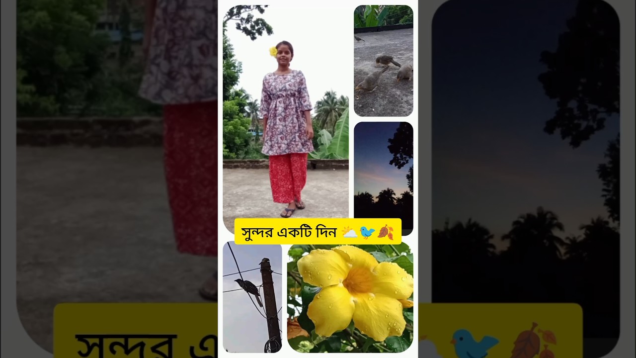 সুন্দর একটি দিন ⛅🐦🍂 #vlog #dailyvlog #minivlog #shorts #shortvideo #subscribe @RimiNaskar672