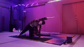 Download Lagu Psychedelic Integration Yoga - Anna Krishtal MP3