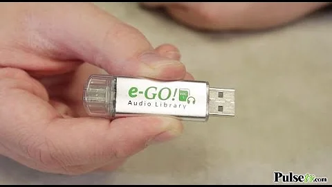 Giant Classic Audiobook Flash Drives by e-Go! Library