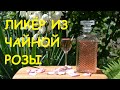 Ликёр из чайной розы. Самый вкусный ликёр. Настойка на чайной розе. Простой рецепт.