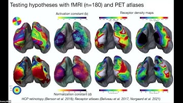 Divisive normalization and the computational neuropharmacology of vision - Marco Aqil @VSS 2022