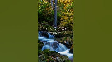 ﴿أَمَّن جَعَلَ الْأَرْضَ قَرَارًا وَجَعَلَ خِلَالَهَا أَنْهَارًا﴾[سورة النمل]ياسر الدوسري