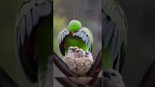 31 De Outubro De 2024