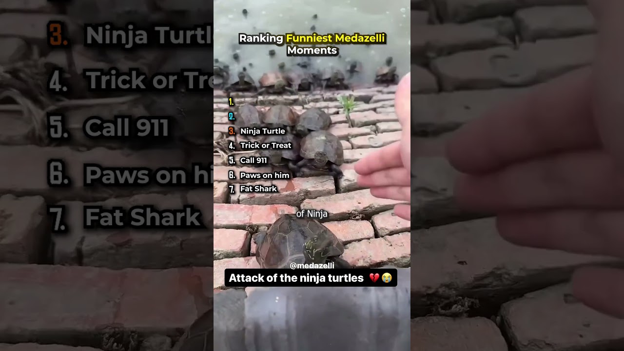 Рейтинг самых смешных моментов Медазелли 😂