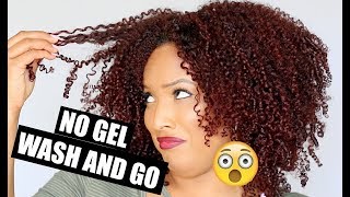 NO GEL used on my Wash and GO?! ⇢ Does it Work?? Natural Hair