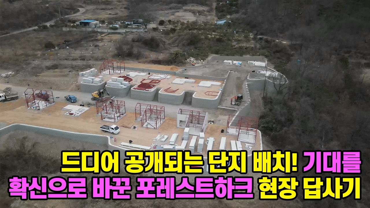 기대감 200% 충족! 완벽한 윤곽을 드러낸 포레스트하크 현장을 다녀왔습니다!