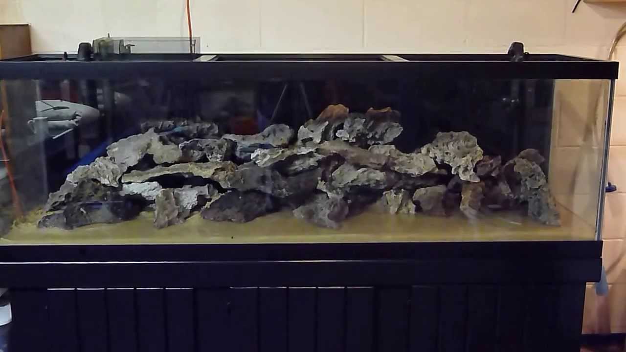 125 Cichlid Tank Build out YouTube