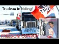 FREEDOM CONVOY CANADA "Trudeau in hiding!" | Irnieracing News