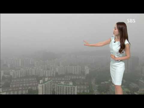 [날씨] 다시 여름 무더위…오후 곳곳 소나기 / SBS