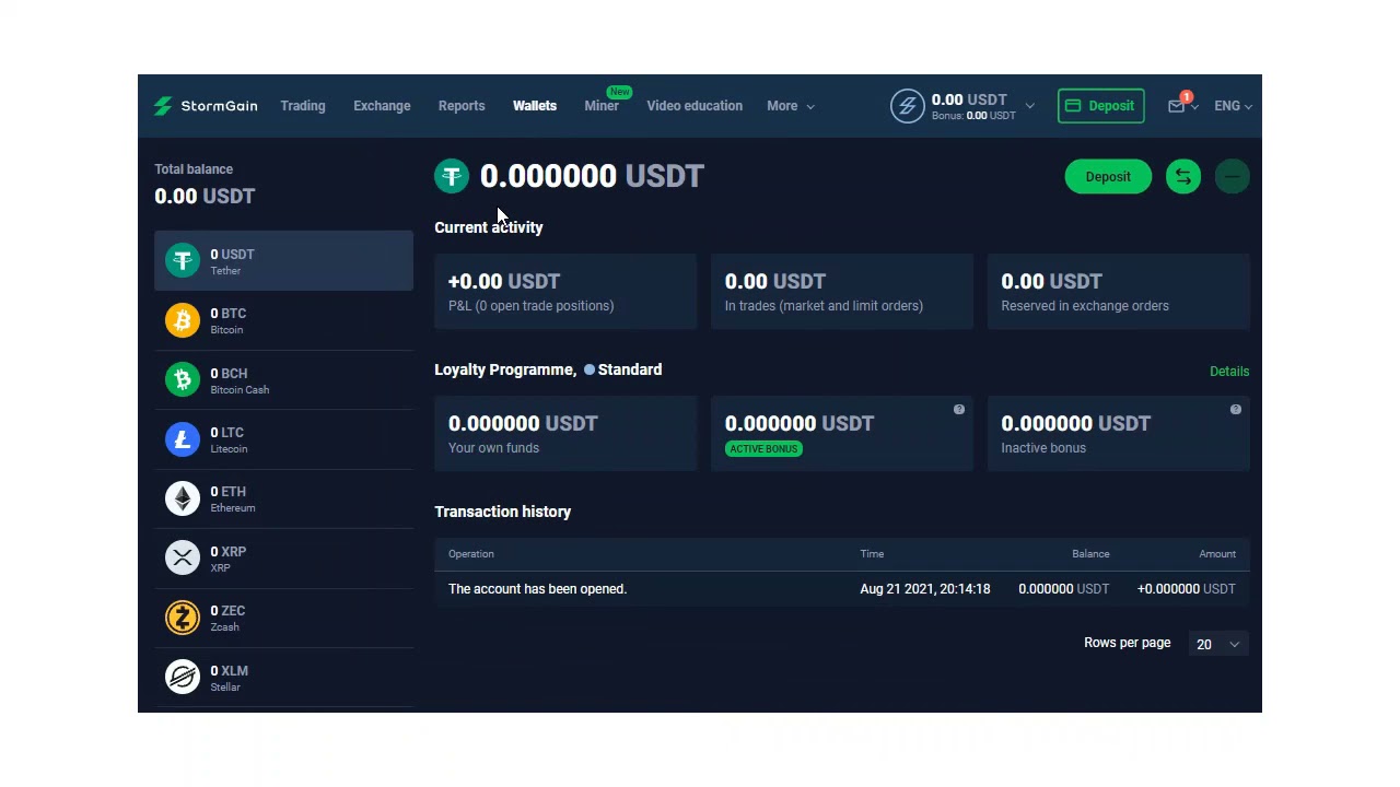 Quick Tour Inside Stormgain