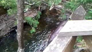 VID-20110803-00000