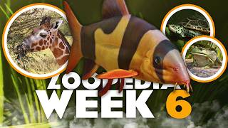 🦒 It's Getting Reticulous! | Zoopedia Drop #6 | Planet Zoo 2