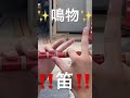 ✨鳴物✨笛✨ #shortsfeed #だんじり祭り #鳴物