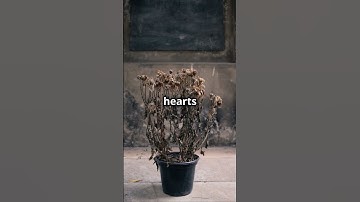 ao Te Ching Verse 39: Wisdom of the One