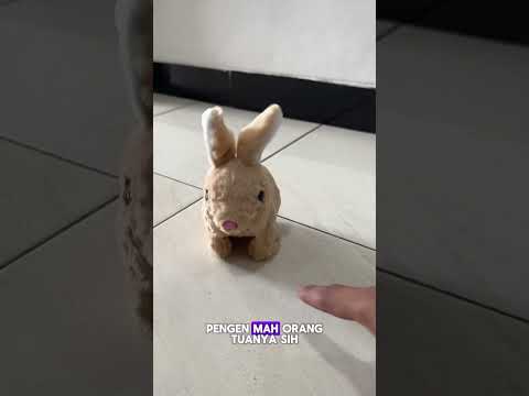 Yang pengen malah orang dewasa