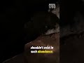 Hubble Reveals Borisov's Alien Comet Secrets