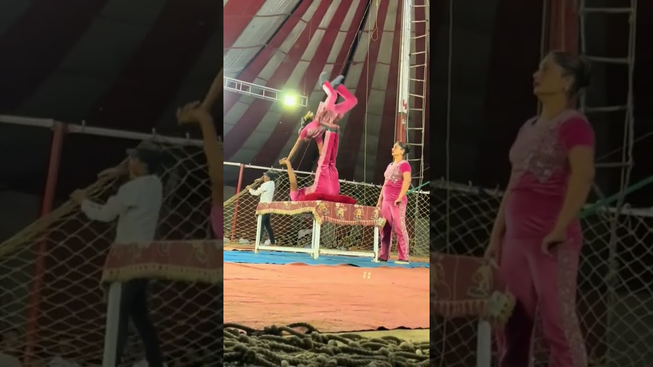 Dhoom international circus add join lucky Irani Circus Rashid Lrc