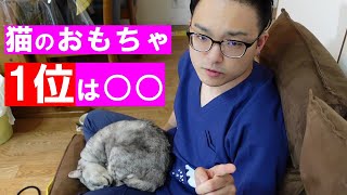 【猫のおもちゃ6種類】獣医師ITOがオススメと注意点･使い方を紹介