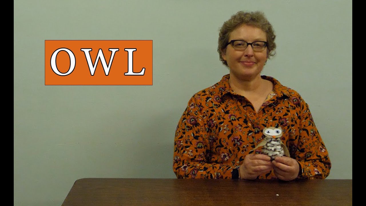 Fall All Ages Craft 3: Owls