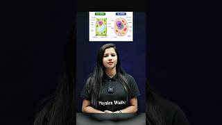 जंतु और पादप कोशिका #biharboard9th #biology #studytips #poojamam