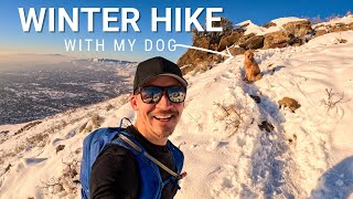 Hiking with my dog in the snow near Salt Lake City, UT