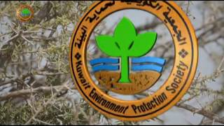 كل يوم طير - الحلقة الحادية عشر(11)