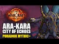 PORADNIK: Ara-Kara, City of Echoes Mythic+ | World of Warcraft: The War Within Season 3