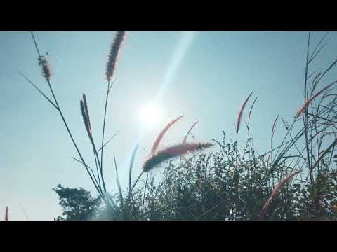 Only that's not enough - Arseny Tarkovsky