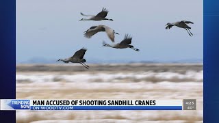 Trending now on WOODTV.com