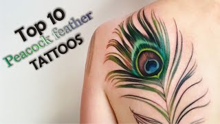 Peacock Feather Tattoos