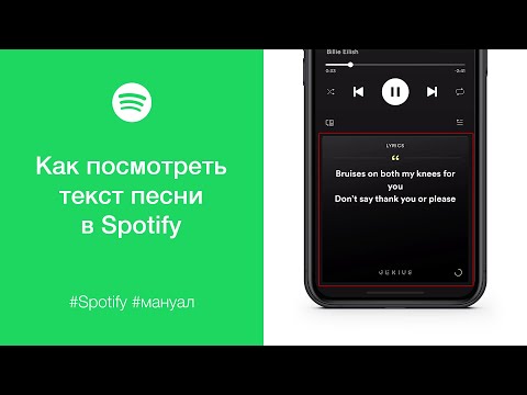 Как посмотреть текст песни в Spotify