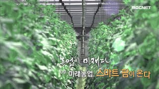 [MBCNET명품다큐] 농업이 미래다 9부 - 미래농업, 스마트 팜이 온다 다시보기