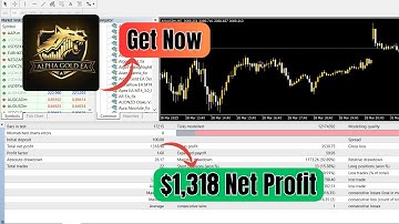 Alpha Gold EA – News-Based Scalping Strategy for XAUUSD (MT4 Review & Backtest)