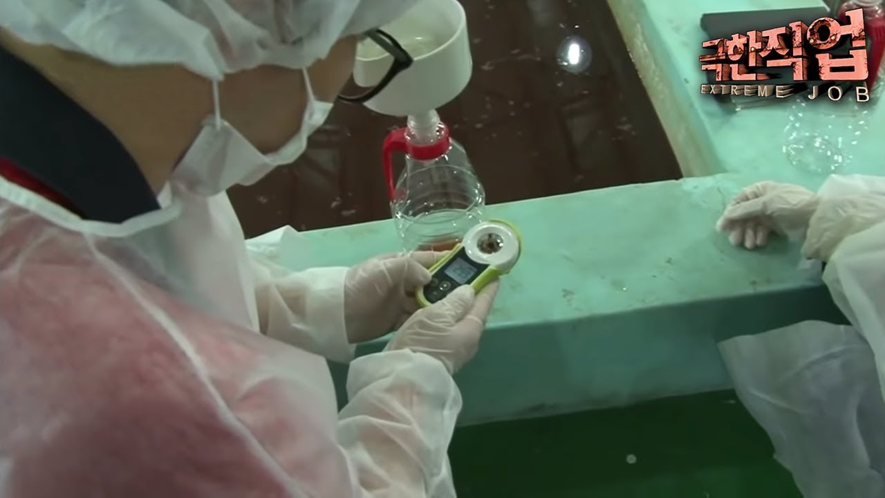 경북 안동시 길안면 천지리 극한직업 - Extreme JOB_짭조름한 감칠맛! 액젓과 육젓_#002