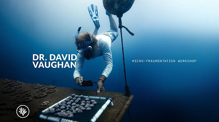 Micro-fragmentat...  Workshop with Dr. David Vaugh...