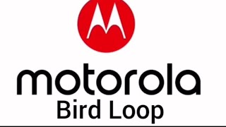 Motorola Bird Loop 5 minutes