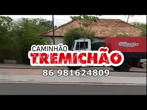 Caminhão tremichao de campo maior