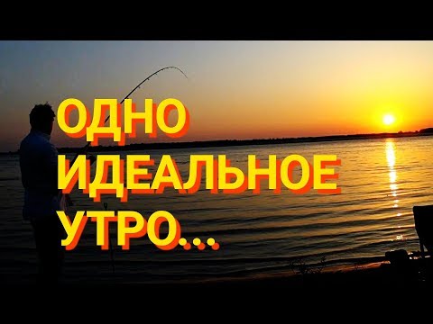Сом на квок. Рыбалка в Астрахани, это нечто!