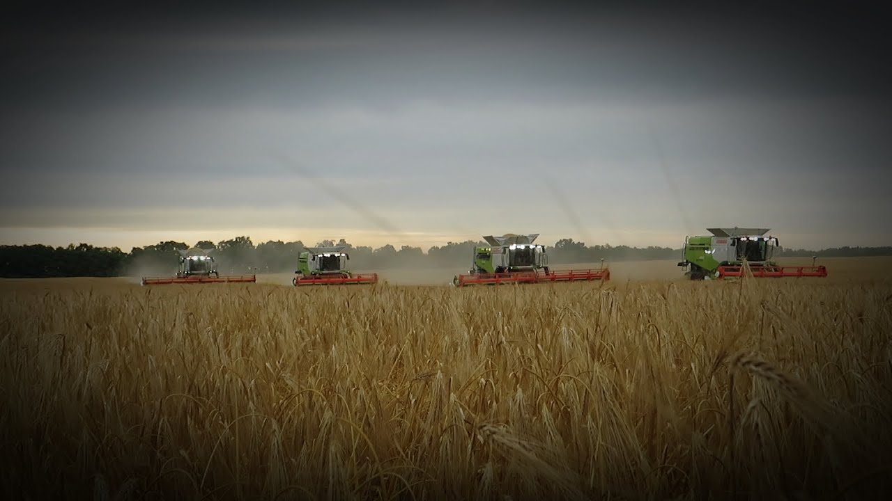 Árpa aratás&Barley harvest 2023 Claas lexion 2x8700, 2x660  