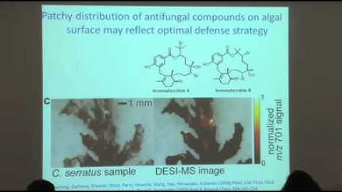 Breakfast Club - Julia Kubanek - Georgia Tech - May 8, 2012