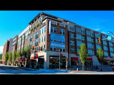 Carolina Square | Luxury Apartments in Chapel Hill, NC