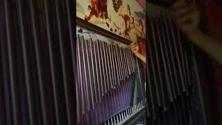 Download Lagu vibro pipe organ