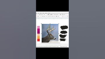 CorelDRAW #coreldraw #logo #logodesign #graphicsdesign #coreldrawtutorial  | Corel Draw Tutorial
