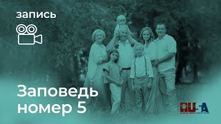 видео: Александр Литвин: заповедь номер пять картинка: Александр Литвин: заповедь номер пять