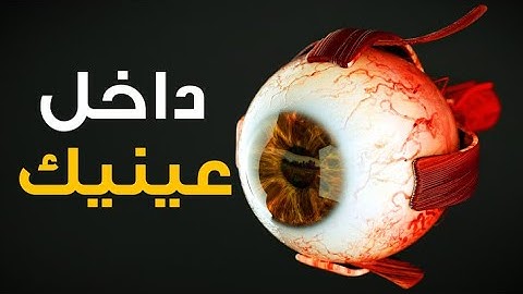 ماذا يحدث داخل عينيك