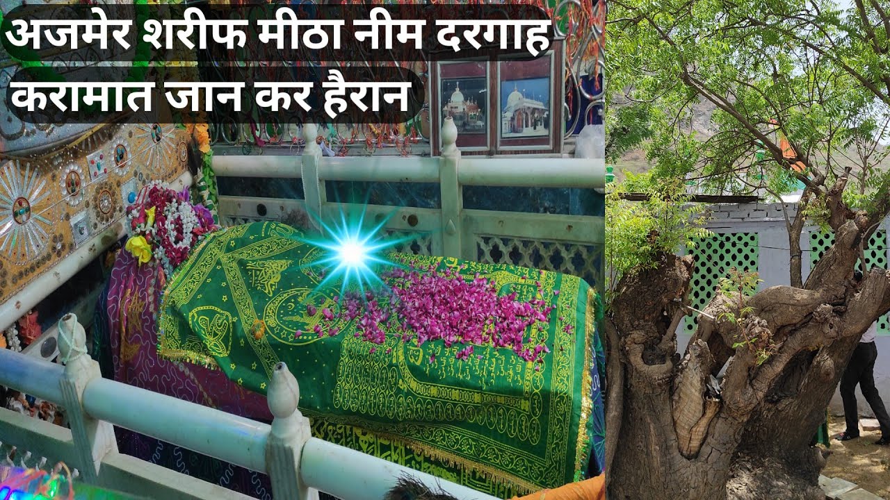 Ajmer Sharif Meetha Neem Dargah Karamat Jaan Kar Hairan | अजमेर शरीफ करामाती मीठा नीम दरगाह