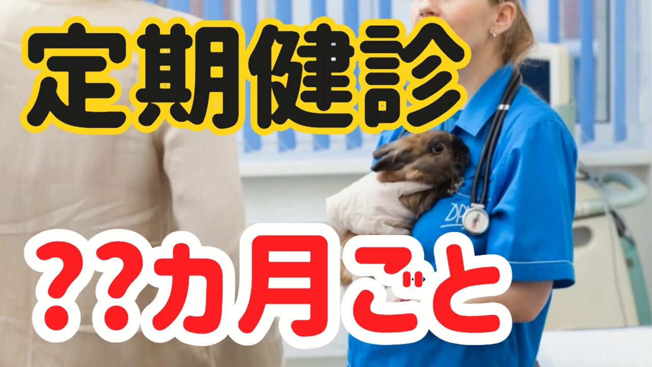 獣医師が勧める【うさぎの定期健診】の間隔は？#20　うさぎの飼い方Vol.6