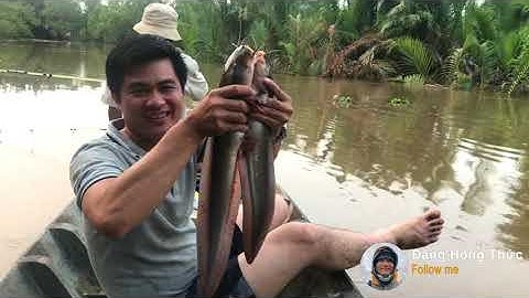 Đi Đông Đi Tây // Về Cần Giuộc Câu Cá Ngát