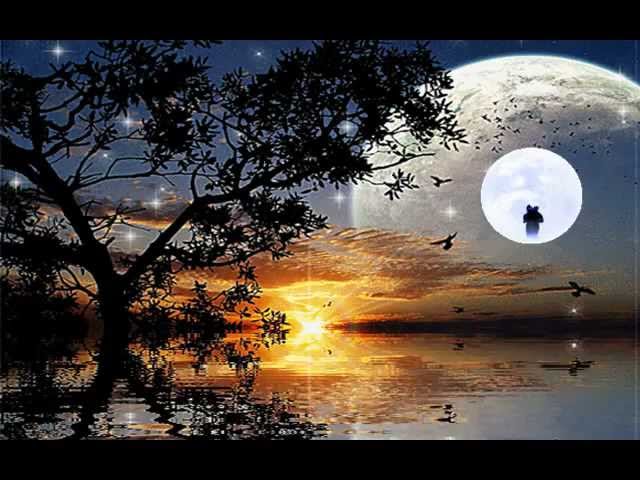 Combox - EINE NACHT VOLL ZÄRTLICHKEIT