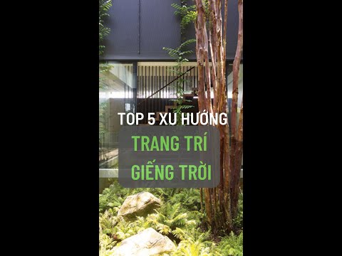 Video 5 xu hướng trang trí giếng trời cho nhà thêm xanh - youtube